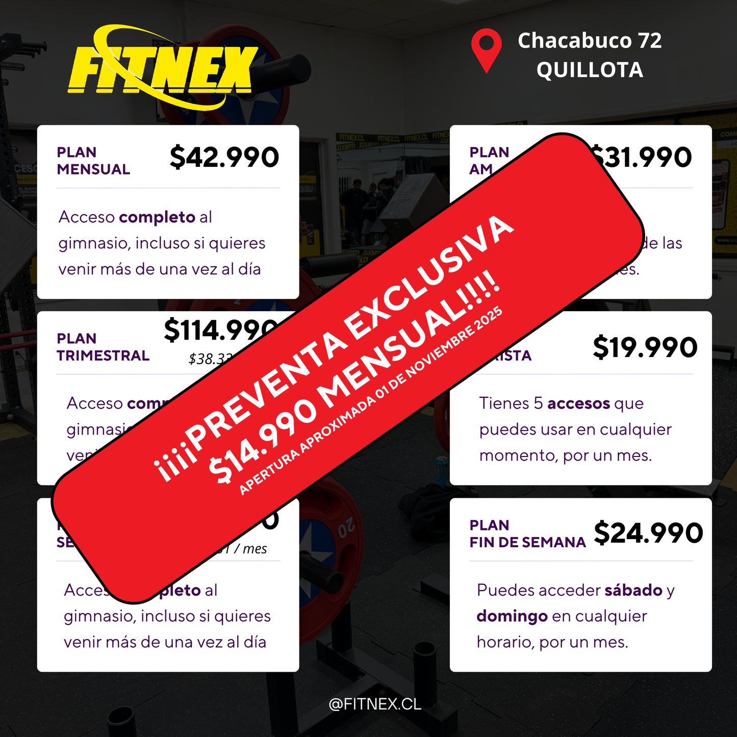 Fitnex Quillota